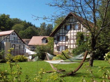 Foto: Damm&amp;uuml;hle